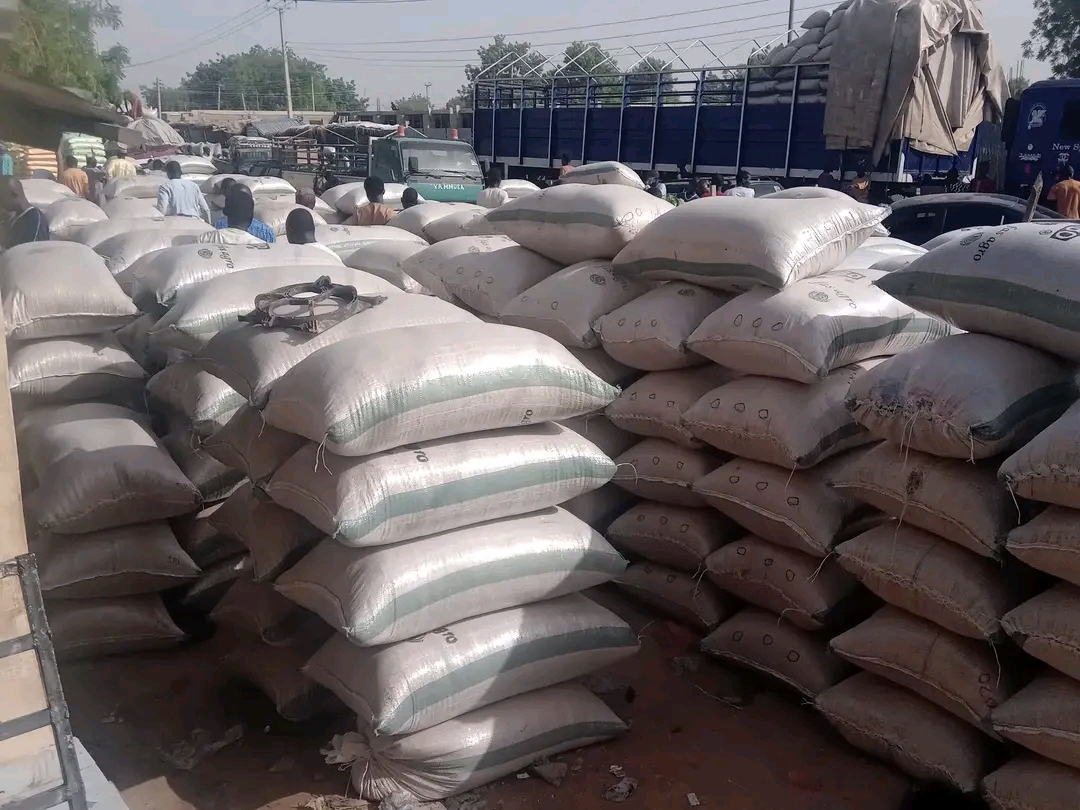 Organic Rice